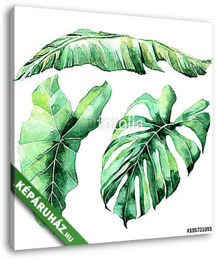 Tropical watercolor leaves set - vászonkép 3D látványterv