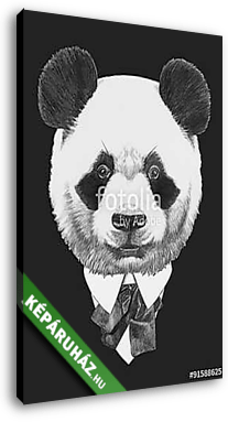 Portrait of Panda in suit. Hand drawn illustration. - vászonkép 3D látványterv