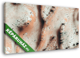 Szárazjég az északi sark dűnéin, Mars felszín - vászonkép 3D látványterv