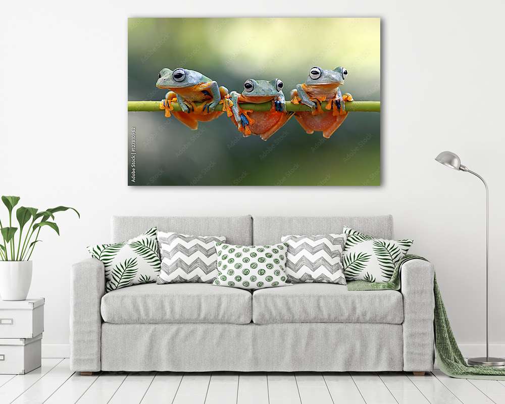 Három béka vicces pózban (fotótapéta) - vászonkép, falikép otthonra és irodába