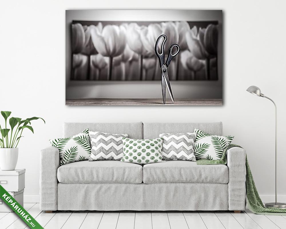 Az olló - kép a képben - vászonkép, falikép vásárlás Az olló - kép a képben (vászonkép) - vászonkép, falikép otthonra és irodába