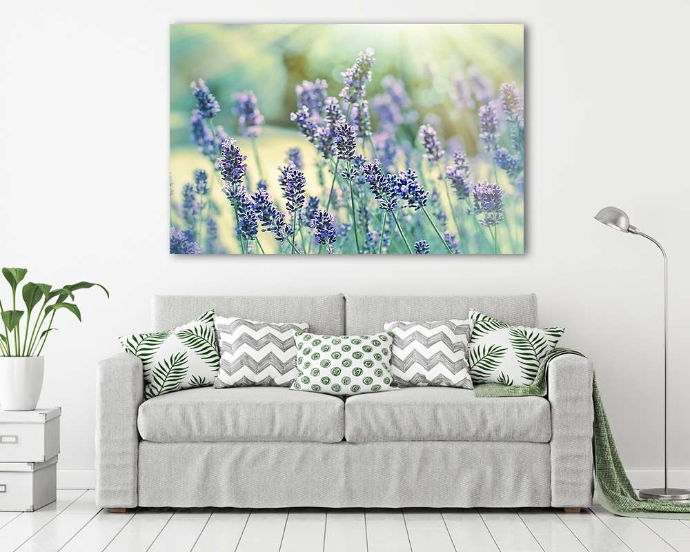 Levendula napfény által megvilágítva - vászonkép, falikép vásárlás Levendula napfény által megvilágítva (poszter) - vászonkép, falikép otthonra és irodába