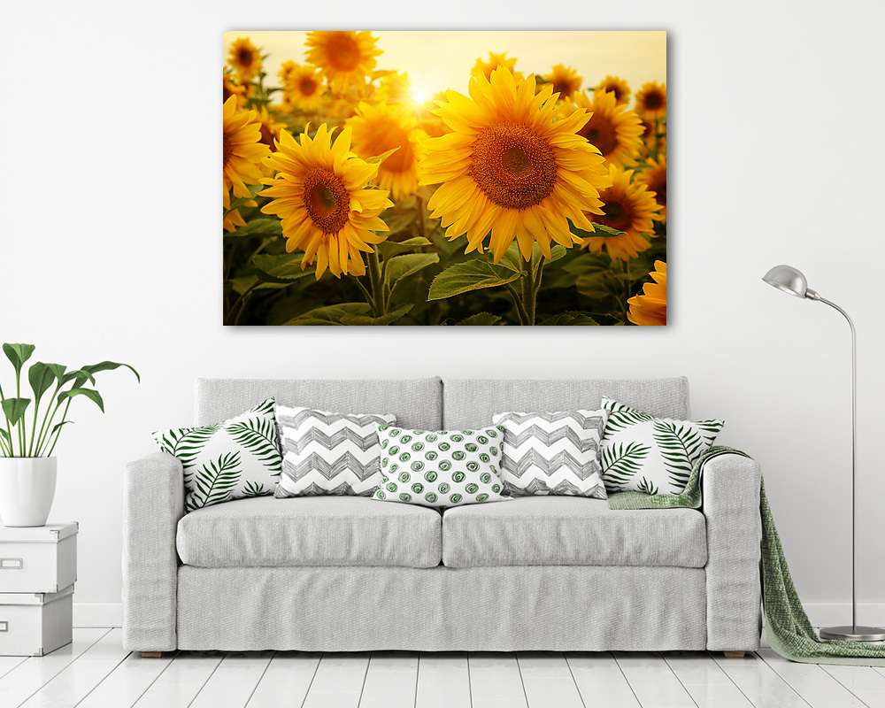 Napraforgók és a nap - vászonkép, falikép vásárlás Napraforgók és a nap (keretezett kép) - vászonkép, falikép otthonra és irodába