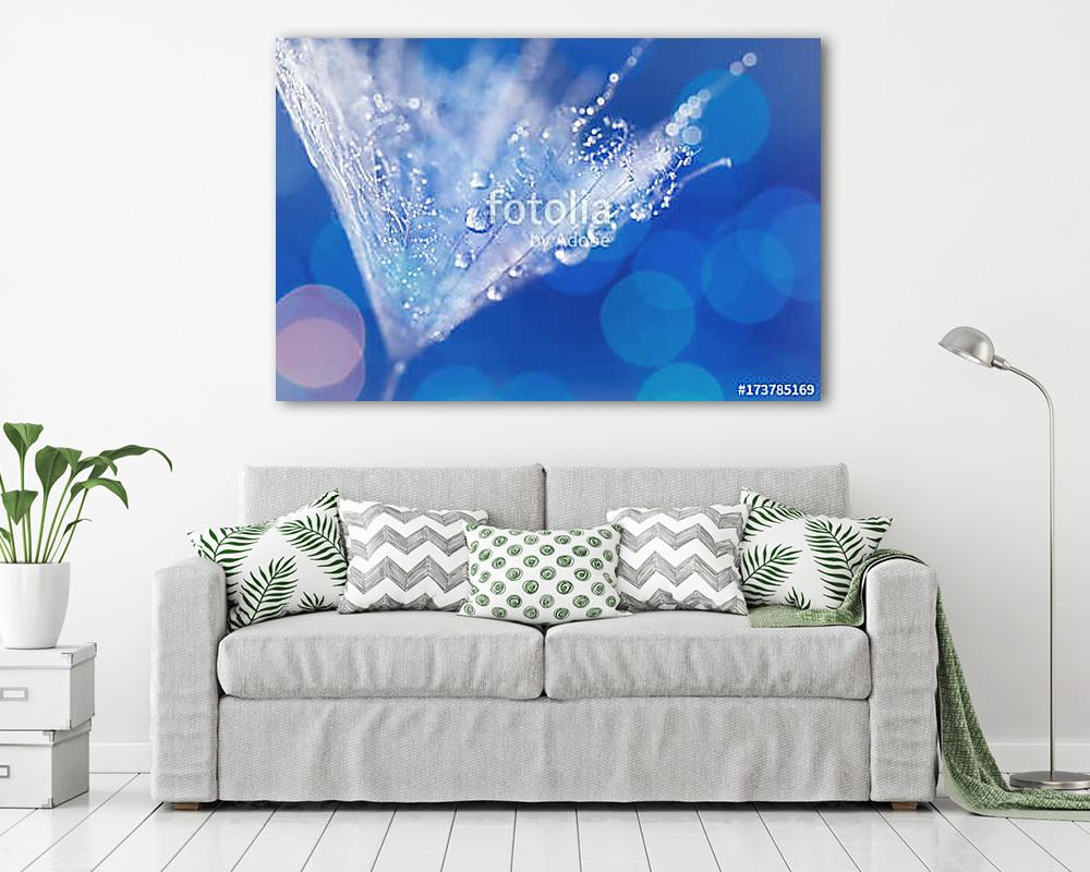 Dandelion Seeds in the drops of dew on a beautiful blurred backg - vászonkép, falikép vásárlás Dandelion Seeds in the drops of dew on a beautiful blurred backg (vászonkép) - vászonkép, falikép otthonra és irodába