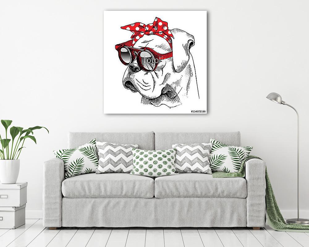 The image of the portrait Bulldog dog in the headband and with t (fotótapéta) - vászonkép, falikép otthonra és irodába