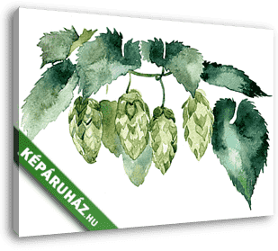 watercolor branch of hops on white background - vászonkép 3D látványterv