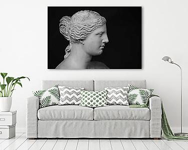 Miloi Venusz (vászonkép) - vászonkép, falikép otthonra és irodába