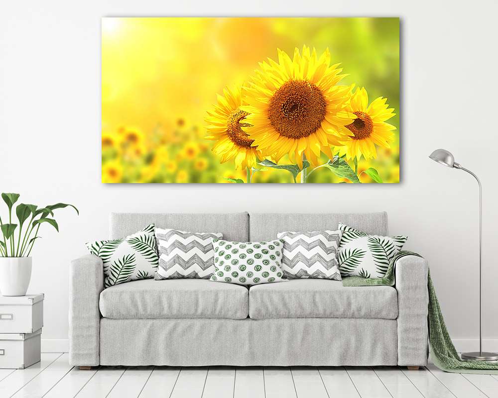 Napraforgók homályos, napos háttéren - vászonkép, falikép vásárlás Napraforgók homályos, napos háttéren (keretezett kép) - vászonkép, falikép otthonra és irodába