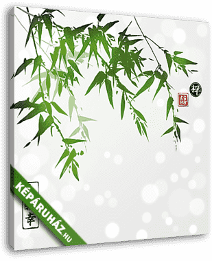 Zöld bambusz fehér háttéren. Hieroglfot tartalmaz - vászonkép 3D látványterv