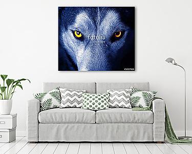vad farkas gyönyörű szeme. (vászonkép) - vászonkép, falikép otthonra és irodába