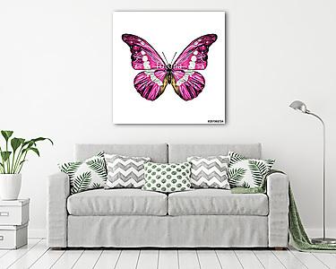 pink butterfly with white spots on the wings of the symmetric to (vászonkép) - vászonkép, falikép otthonra és irodába