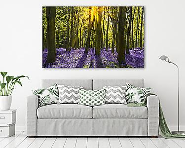 Napsütötte erdő harangvirágokkal (vászonkép) - vászonkép, falikép otthonra és irodába