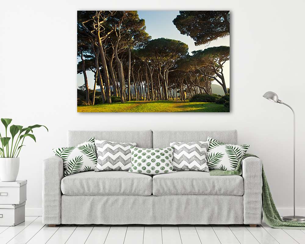 A tengeri fenyőfák csoportja. Baratti, Toszkána. - vászonkép, falikép vásárlás A tengeri fenyőfák csoportja. Baratti, Toszkána. (vászonkép) - vászonkép, falikép otthonra és irodába