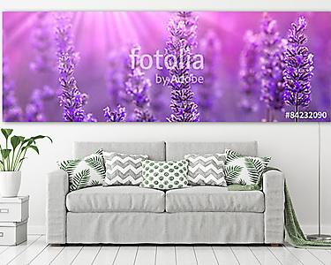 Lavender (vászonkép) - vászonkép, falikép otthonra és irodába