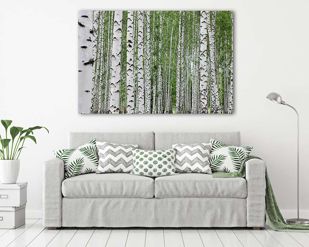 nyírfa liget a parkban - vászonkép, falikép vásárlás nyírfa liget a parkban (keretezett kép) - vászonkép, falikép otthonra és irodába