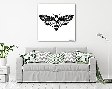 Halálfejes pillangó (vászonkép) - vászonkép, falikép otthonra és irodába