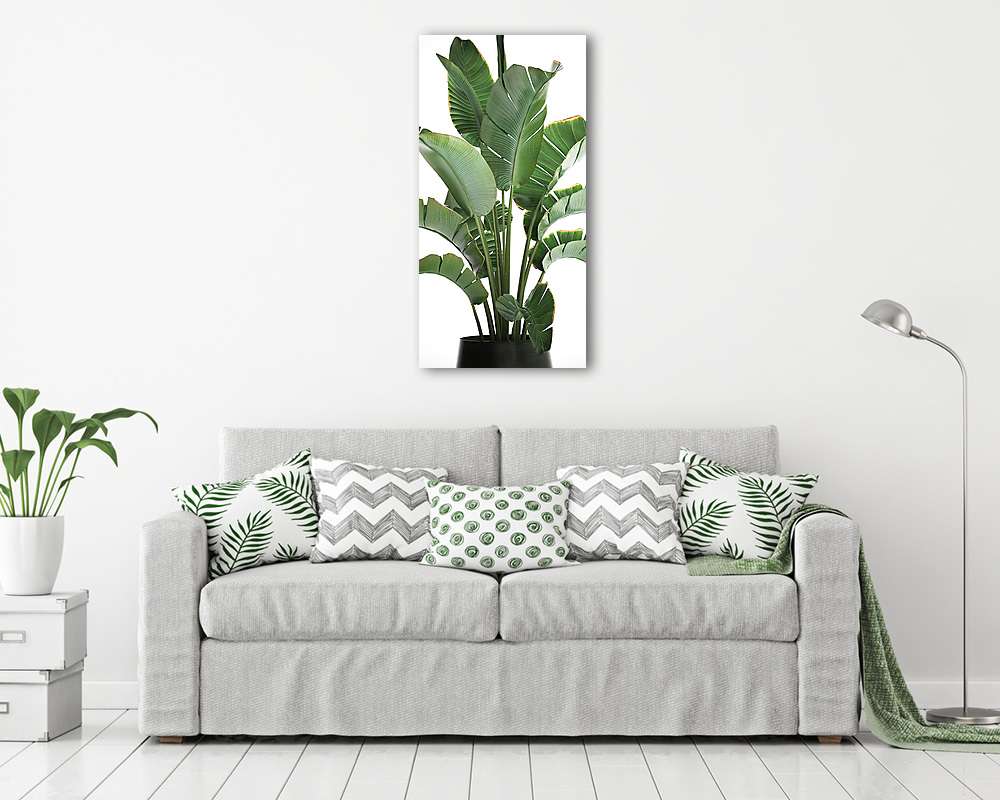 Banán fa (poszter) - vászonkép, falikép otthonra és irodába