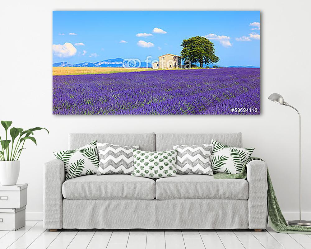 Levendula virágok virágzó mező, ház és fa. Provence, Franc - vászonkép, falikép vásárlás Levendula virágok virágzó mező, ház és fa. Provence, Franc (bögre) - vászonkép, falikép otthonra és irodába
