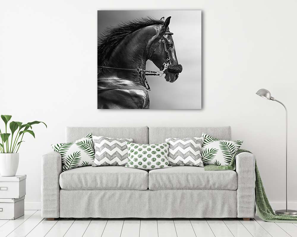 Sportos mén portréja egy hackamore-ban. (többrészes kép) - vászonkép, falikép otthonra és irodába