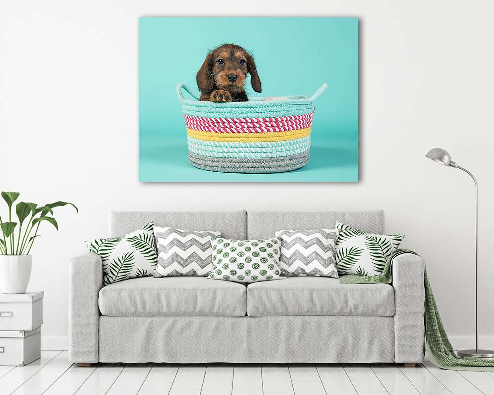 Aranyos kölyökkutya tacskó egy színes kosárban egy menta kék bac (többrészes kép) - vászonkép, falikép otthonra és irodába