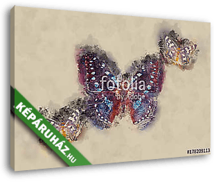 Watercolor Butterfly. - vászonkép 3D látványterv