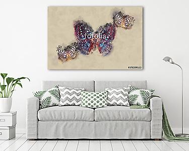 Watercolor Butterfly. (vászonkép) - vászonkép, falikép otthonra és irodába