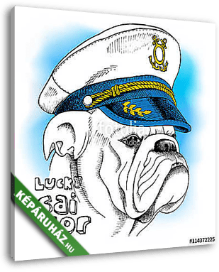 Image of portrait a dog bulldog in a sailor's cap. Vector illust - vászonkép 3D látványterv