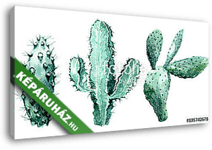 Watercolor set of cactus  isolated illustration on a white backg - vászonkép 3D látványterv