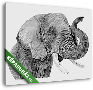Elefánt rajz - vászonkép 3D látványterv