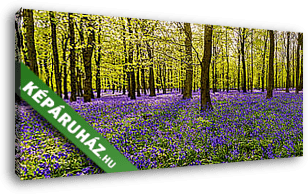 Napsütötte erdő harangvirágokkal - vászonkép 3D látványterv