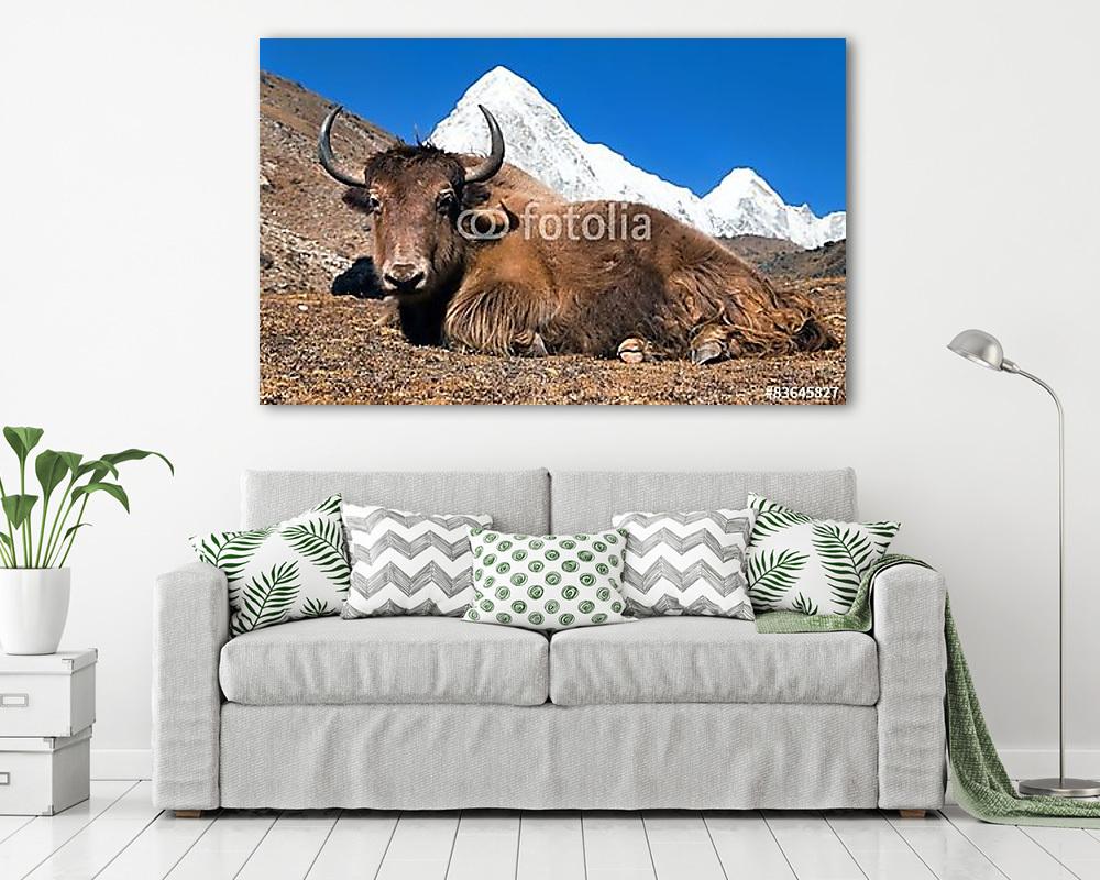 Kitér az Everest táborra és a Pumo ri hegyére - vászonkép, falikép vásárlás Kitér az Everest táborra és a Pumo ri hegyére (vászonkép) - vászonkép, falikép otthonra és irodába