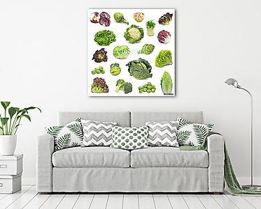 káposzta és zöld növényi kollekció  (vászonkép) - vászonkép, falikép otthonra és irodába