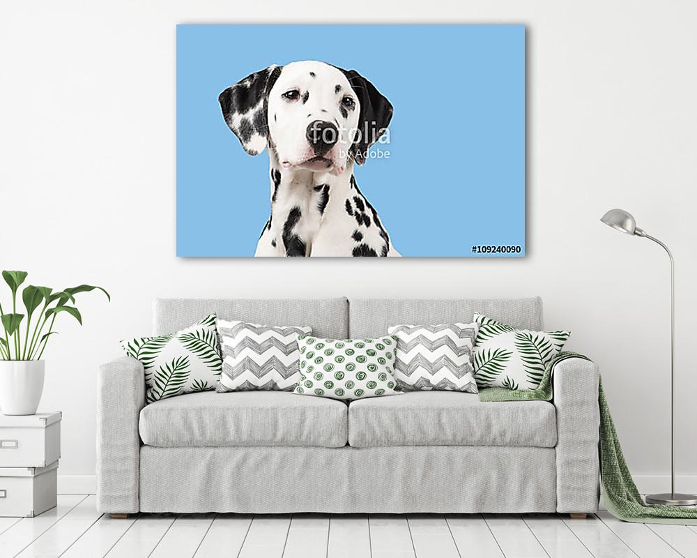 Dalmáciai portré, jobbra kék alapon - vászonkép, falikép vásárlás Dalmáciai portré, jobbra kék alapon (vászonkép) - vászonkép, falikép otthonra és irodába