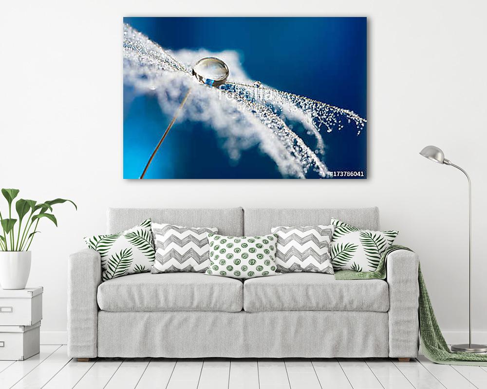 Dandelion with drops of water in the form of lace. dandelion see - vászonkép, falikép vásárlás Dandelion with drops of water in the form of lace. dandelion see (vászonkép) - vászonkép, falikép otthonra és irodába