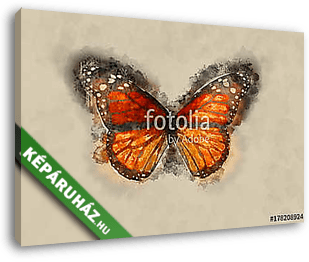 Watercolor Butterfly. - vászonkép 3D látványterv