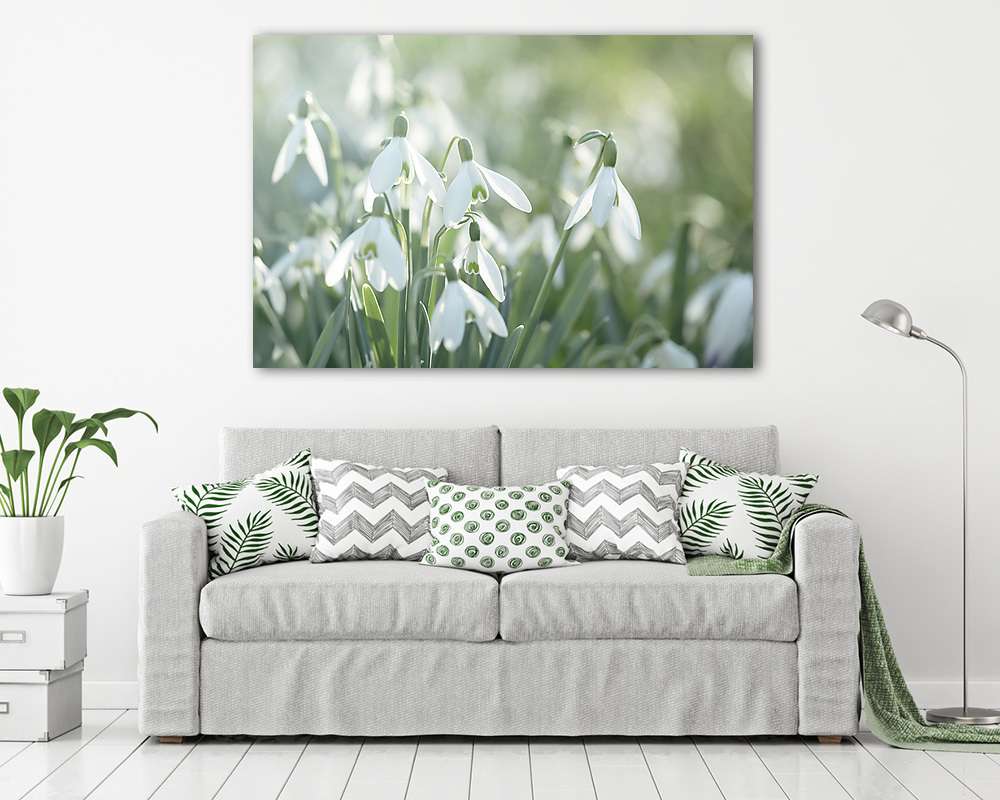 Hóvirág csoport - vászonkép, falikép vásárlás Hóvirág csoport (vászonkép) - vászonkép, falikép otthonra és irodába