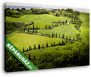 Toszkána, a ciprusút a gyönyörű zöld dombok, Olaszország - vászonkép 3D látványterv