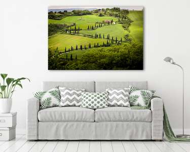Toszkána, a ciprusút a gyönyörű zöld dombok, Olaszország (vászonkép) - vászonkép, falikép otthonra és irodába