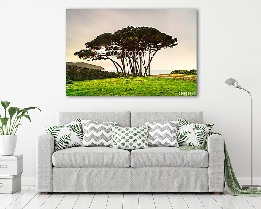 Tengeri borvidék a tenger és a tengerpart közelében. Baratti, To (bögre) - vászonkép, falikép otthonra és irodába