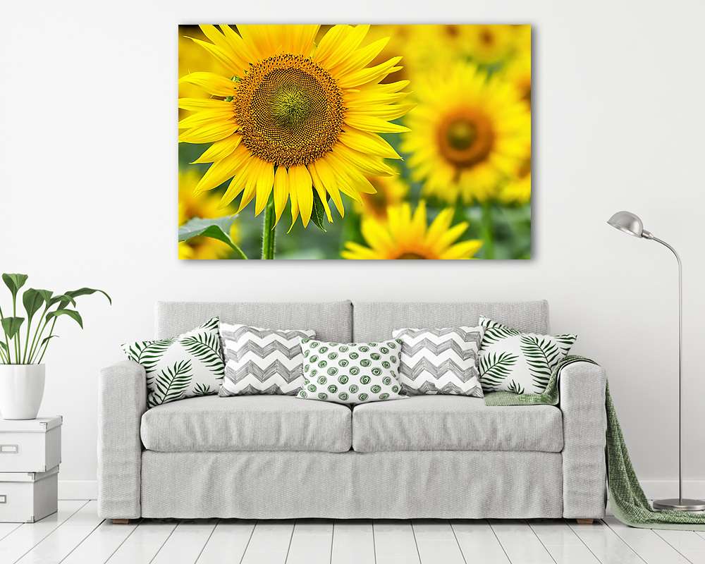 Napraforgó - vászonkép, falikép vásárlás Napraforgó (vászonkép) - vászonkép, falikép otthonra és irodába