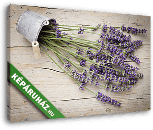 friss levendulas virágok - vászonkép 3D látványterv friss levendulas virágok - vászonkép 3D látványterv