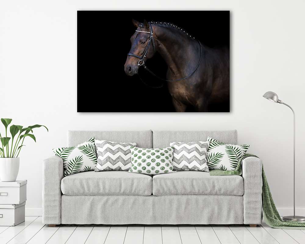Öböl ló horog portré fekete háttéren - vászonkép, falikép vásárlás Öböl ló horog portré fekete háttéren (vászonkép) - vászonkép, falikép otthonra és irodába