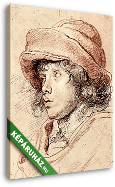 Nicholas, Rubens fia - vászonkép 3D látványterv
