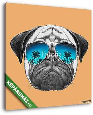 Hand drawn portrait of Pug Dog with mirror sunglasses. Vector is - vászonkép 3D látványterv