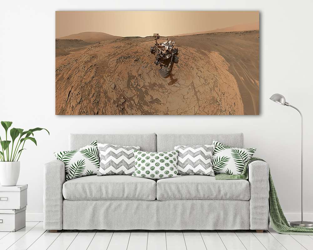 Curiosity 360 fotó projekció a Marson (bögre) - vászonkép, falikép otthonra és irodába