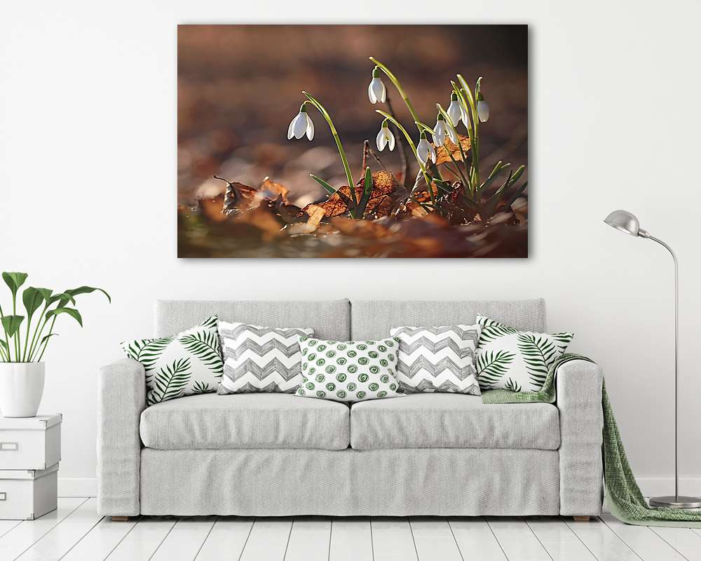 Hóvirágok az avarban (vászonkép) - vászonkép, falikép otthonra és irodába