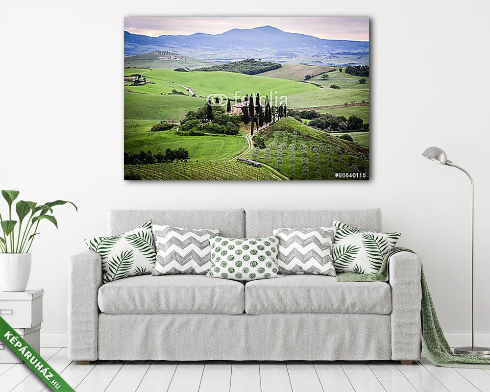 Toszkána, táj és parasztház a Val d'Orcia dombjaiban - vászonkép, falikép vásárlás Toszkána, táj és parasztház a Val d'Orcia dombjaiban (vászonkép) - vászonkép, falikép otthonra és irodába
