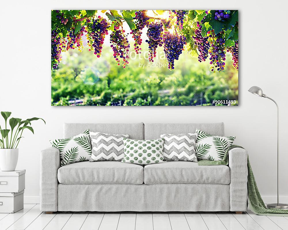 Borászat A nap, amely megismétli a szőlőt (vászonkép) - vászonkép, falikép otthonra és irodába
