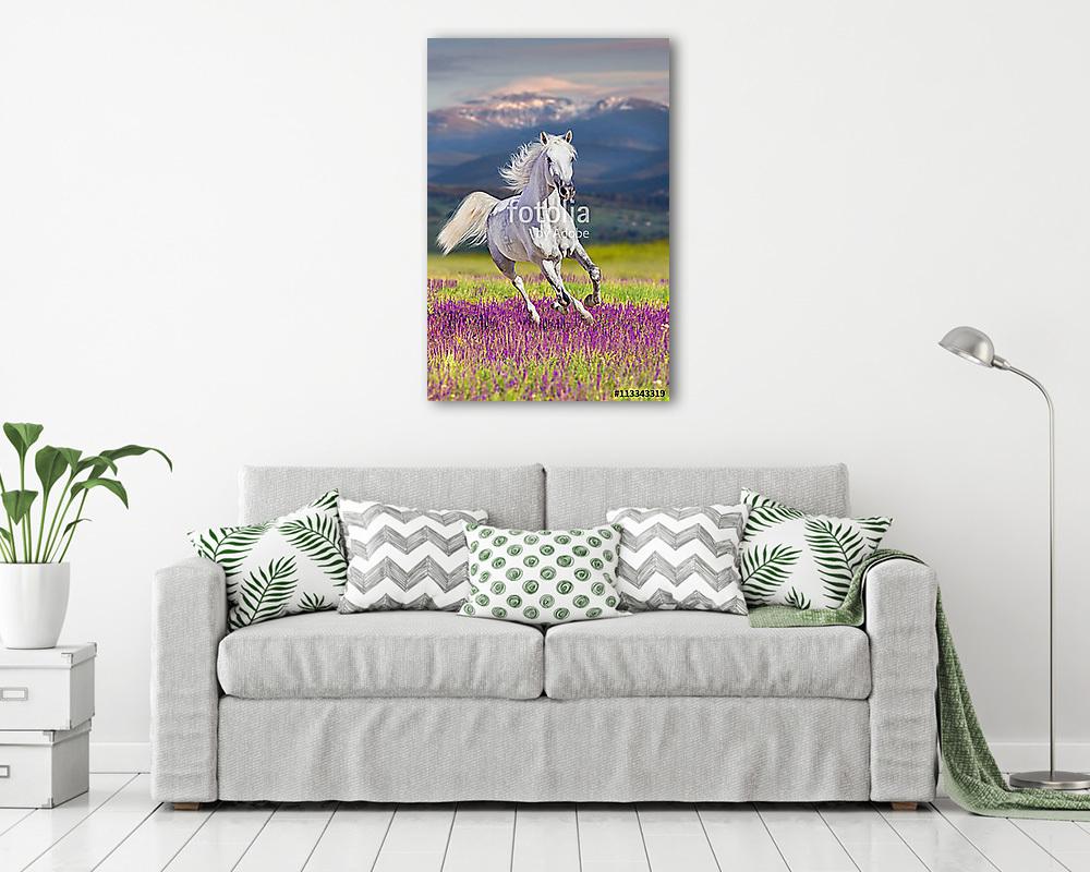 Fehér mén, hosszú mézgával, galambokkal virágokkal szemben (vászonkép) - vászonkép, falikép otthonra és irodába