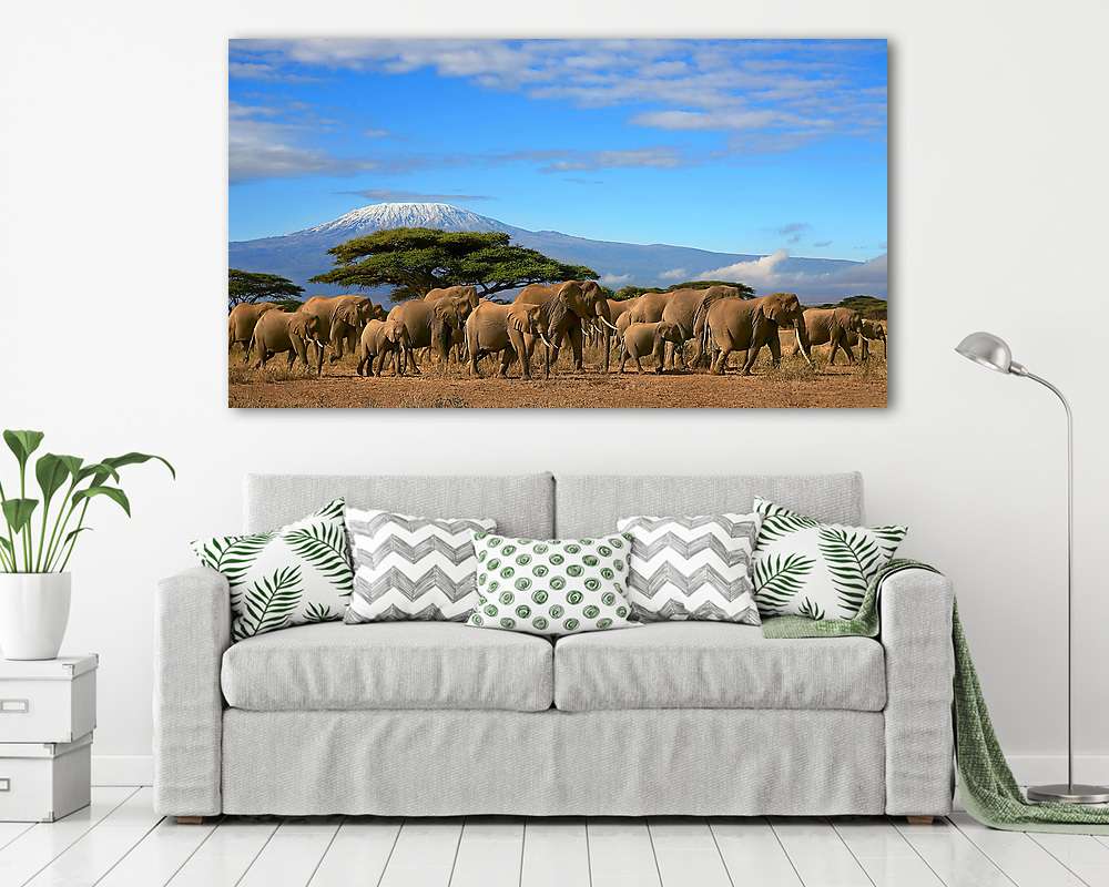 Kilimandzsáró elefántcsonttal (vászonkép) - vászonkép, falikép otthonra és irodába